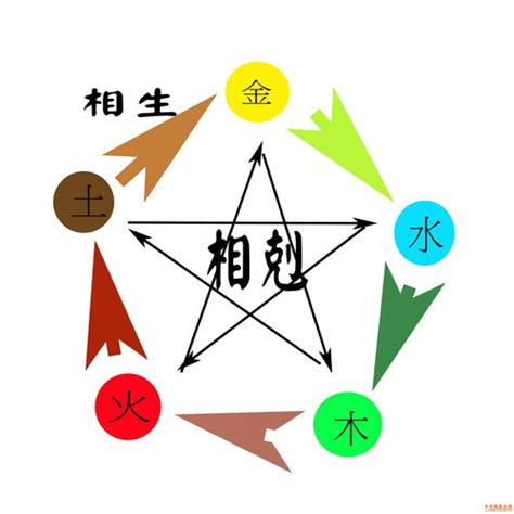 己巳大林木|八字納音五行解析——大林木